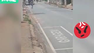 Adiel 244 Grau De Lonbada