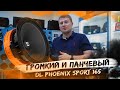 Громкий и панчевый / DL Audio Phoenix Sport 165