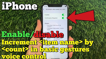 How to enable or disable increment item name by count in basic gestures voice control on iPhone X