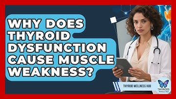 Why Does Thyroid Dysfunction Cause Muscle Weakness? - Thyroid Wellness Hub