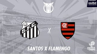 SANTOS X FLAMENGO - 16/07/2025 - BRASILEIRÃO - AO VIVO