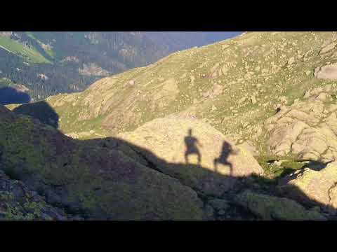 მამბერი  - მამბერსიტო (despacito)