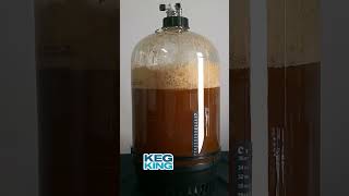 Beer Fermentation Timelapse, yeast gone wild!