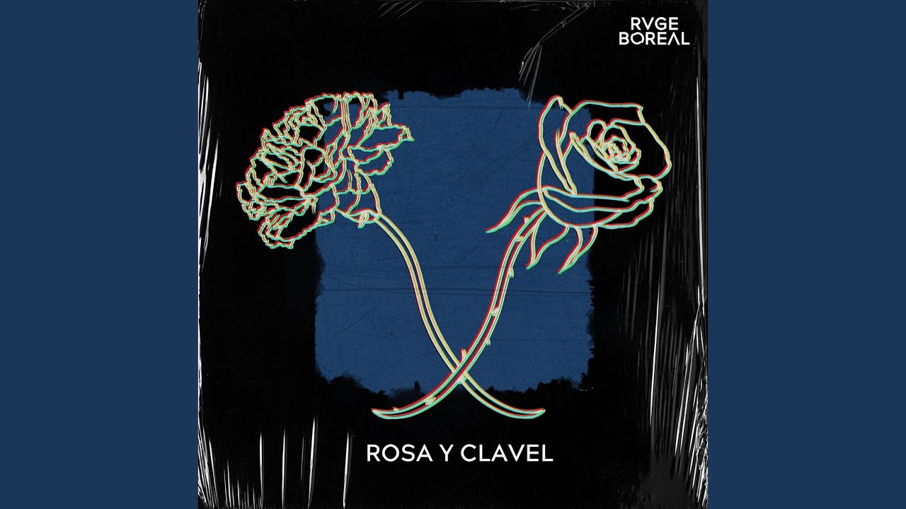 Rosa y Clavel