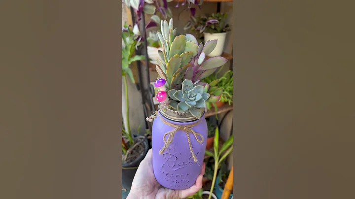 Who loves making succulent arrangements? #succulents #shorts #plants #plants4love - DayDayNews