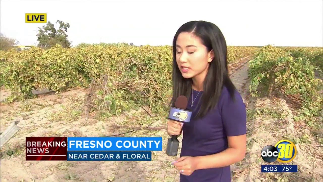 Plane crashes south of Easton in Fresno County YouTube