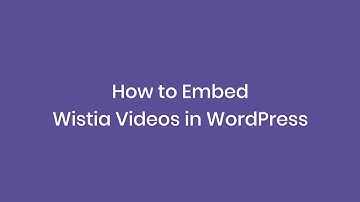 How to Embed Wistia Videos in WordPress