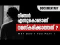     documentary  nermozhi