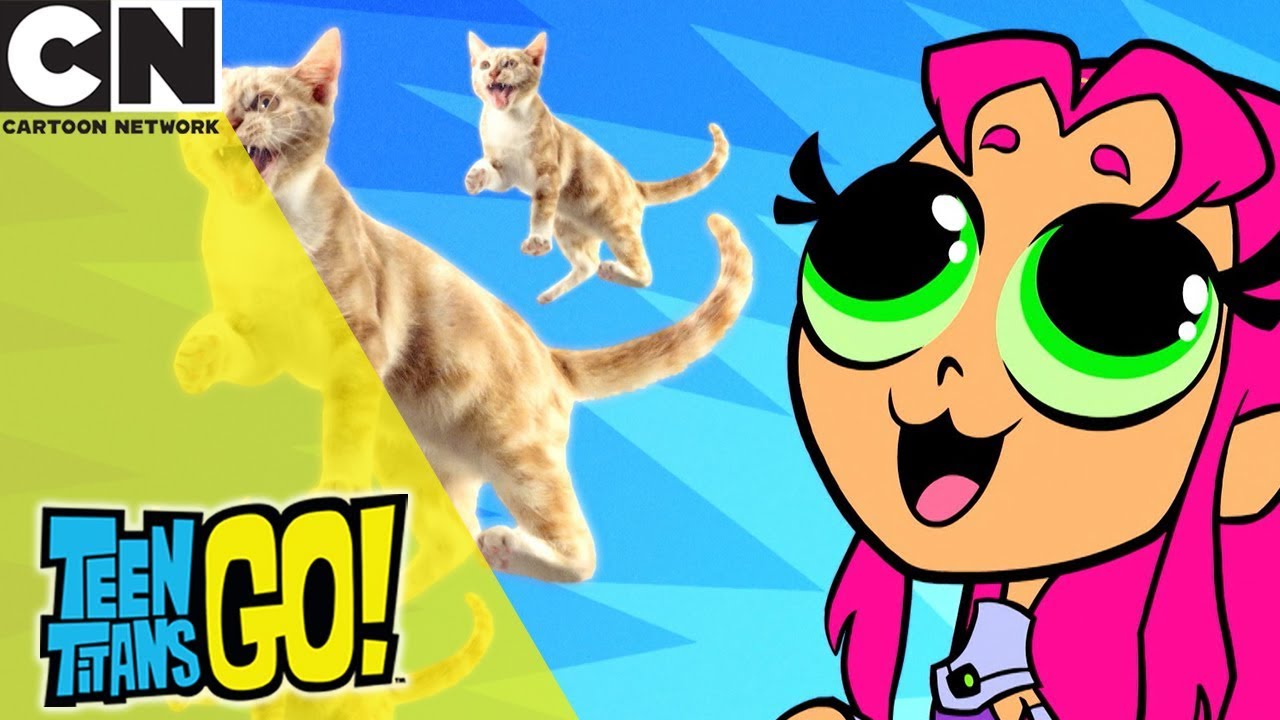 Teen Titans Go! | Bunch Of Animals | Cartoon Network UK 🇬🇧 - YouTube