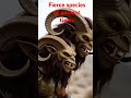 #titans #ancienthistory #prehistoric please 🙏 subscribe for more videos.