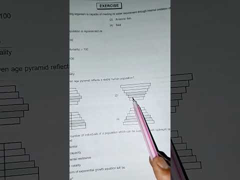 Pyramid based question