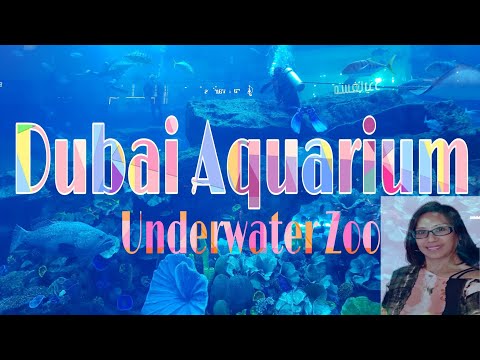 Dubai Aquarium & Underwater Zoo