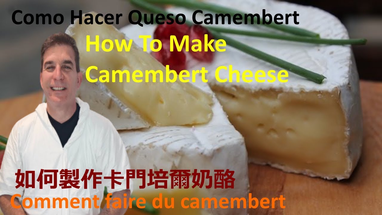 Queso Camembert cómo se haceRecetas de Cocina del Doctor Quesero How
