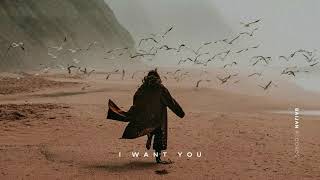 Ahmed Abdurahimli - I Want You Resimi