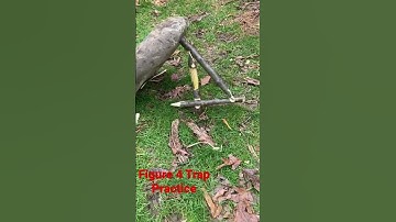 Figure 4 Deadfall Trap Practice