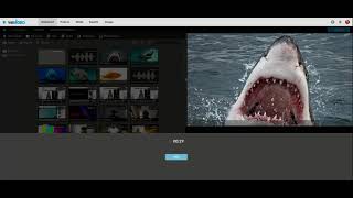 Audio with Added Visuals for WeVideo Tutorial