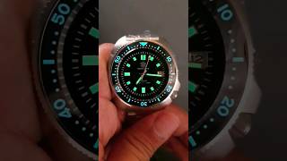 Steeldive captain willard SD-1970 lume shots watch shorts - ستيل دايف كابتن ويلارد