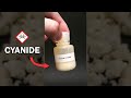 How deadly is cyanide?