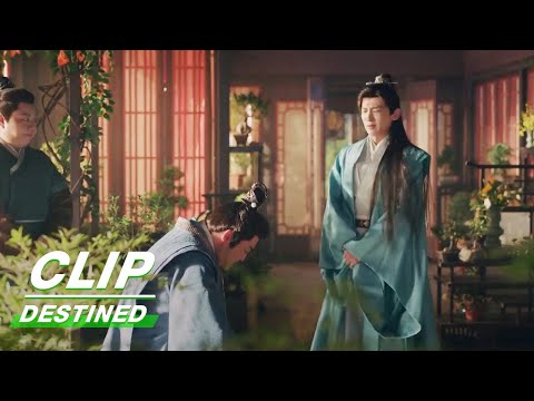 Gu Jiusi and Gu Langhua Argue Over Marriage | Destined EP02 | 长风渡 | iQIYI