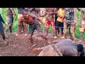 Fatal four way wwe match africa typically ugandan wrestling  ekigwo kya bumbash