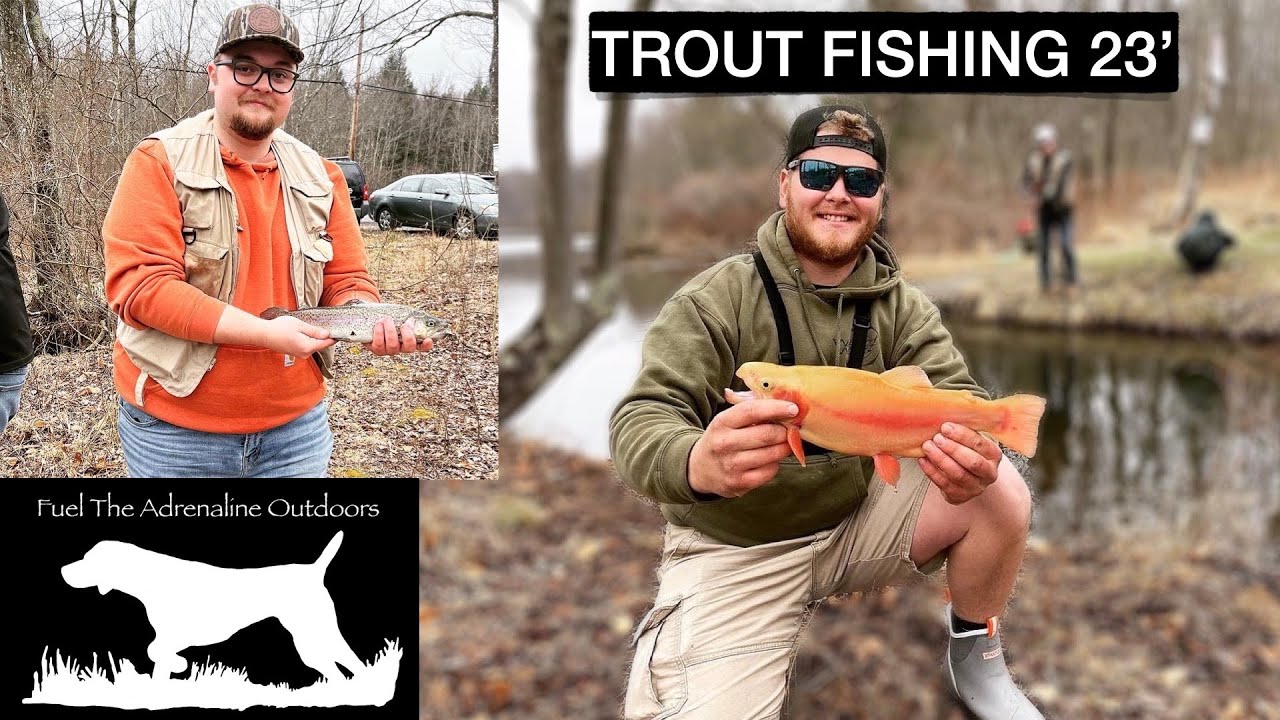 PENNSYLVANIA STOCKED TROUT FISHING (**GOLDEN RAINBOW CAUGHT**) YouTube