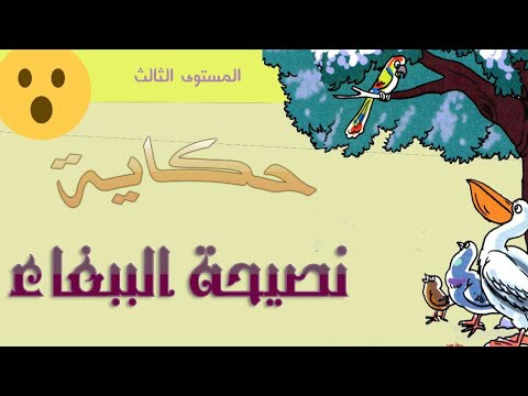 الحكاية الرابعة نصيحة الببغاء