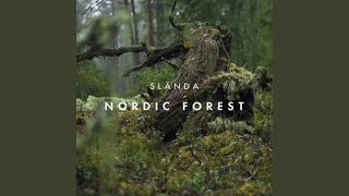 Subtle Sounds of Woodlands in a Summer Breeze