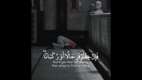 تلاوة هادئة تريح الاعصاب 😴🎧 القاريء وديع اليمني/ سورة البقرة 🌼♥️