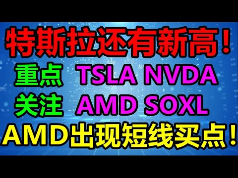 特斯拉直冲260还可以追吗？AMD出现中短线买点！多头怎么布局？美股老司机精讲清单：SPY QQQ TSLA NVDA AMD AMZN SOXL U 6.14