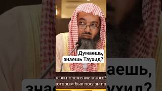 Без этих 5 основ твой Таухид под угрозой - Салих Синди