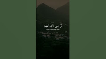 اتحداك ان لاتهرب من القرأن الكريم #القرآن_الكريم #تلاوة_خاشعة