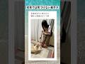 黒い犬も気づいて後ずさりしてて草　#shorts #動物 #animals #犬