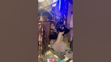 Dennis and I Thrifting at a local consignment shop ￼