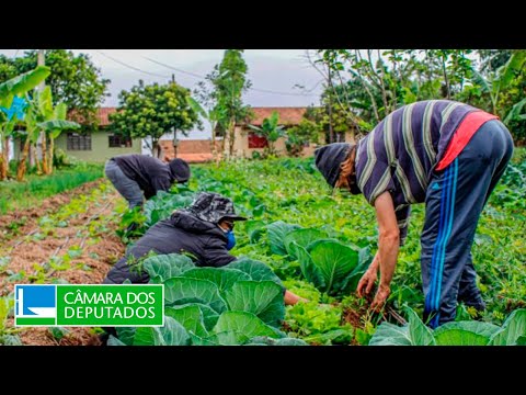 COMISSÃO DE AGRICULTURA, PECUÁRIA, ABASTECIMENTO E DESENVOLVIMENTO RURAL