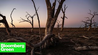 The Vanishing Water of the Murray-Darling Basin