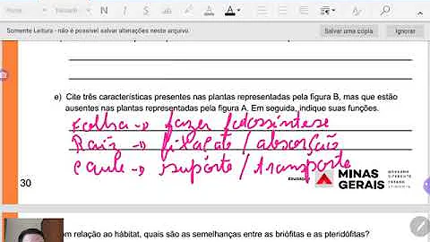 Quais dos grupos vegetais estudados necessitam de água para a reprodução explique o papel da água nesse processo * F em quais grupos A polinização é uma etapa de reprodução explique o papel da água nesse processo * g Qual foi o primeiro grupo de vegetais a se reproduzir por meio de sementes explique qual a função?