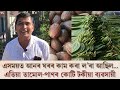 তামোল-পাণৰ  ব্যৱসায় জৰিয়তেই দিলীপ বৰাই সলনি কৰিলে নিজৰ জীৱন | Betel Nut Business In Assam