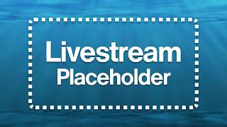 Example Livestream Placeholder Video for Websites & Apps - 20 Seconds, No Audio (FREE to Embed)