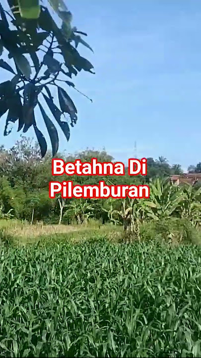 The Pasosoore Valley in Pilemburan