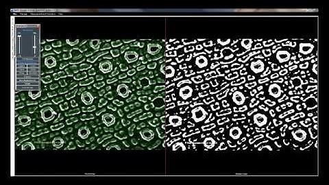 Microptik MIPIS 2014 particle morphometry analysis software