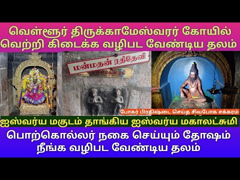 வெள்ளூர் திருக்காமேஸ்வரர் கோயில் ஐஸ்வர்ய மகுடத்துடன் ஐஸ்வர்ய மகாலட்சுமி |சுக்கிர தோஷ நிவர்த்தி தலம்