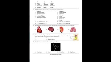 Grade 3 NSO Level 2 Set 1