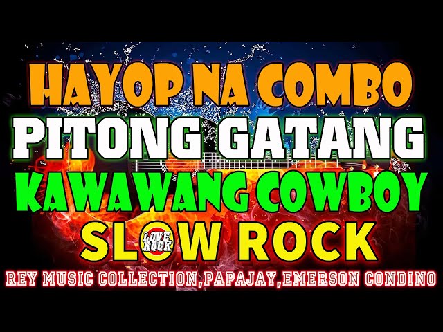 PITONG GATANG,HAYOP NA COMBO✅BEST SLOW ROCK LOVE SONGS NONSTOP BY REY MUSIC, PAPAJAY, EMERSON, BUDDY class=