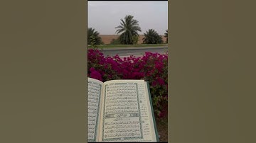 سوره الكهف بصوت ياسر الزيلعي #اكسبلور_فولو #لايك #اكسبلور #حالات