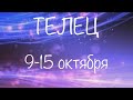 ТЕЛЕЦ таро прогноз на неделю 9 15 октября 2023