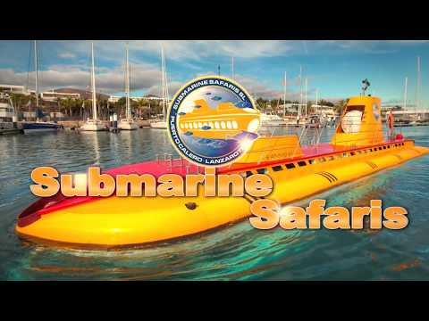 Vídeo: Roques submarines dels oceans