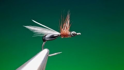 Tying the Carpenter Ant  with Barry Ord Clarke
