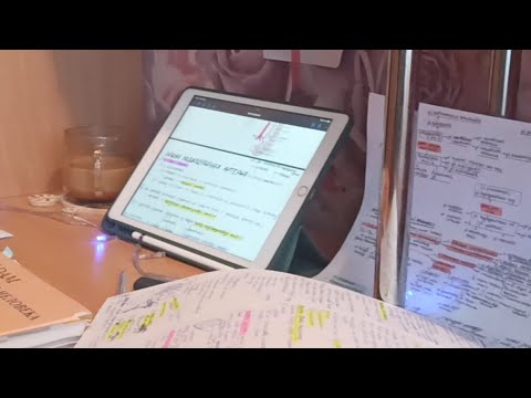 Сессия || Анатка D-9 - YouTube