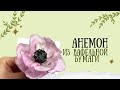 АНЕМОН из ВАФЕЛЬНОЙ БУМАГИ/Anemone made of wafer paper