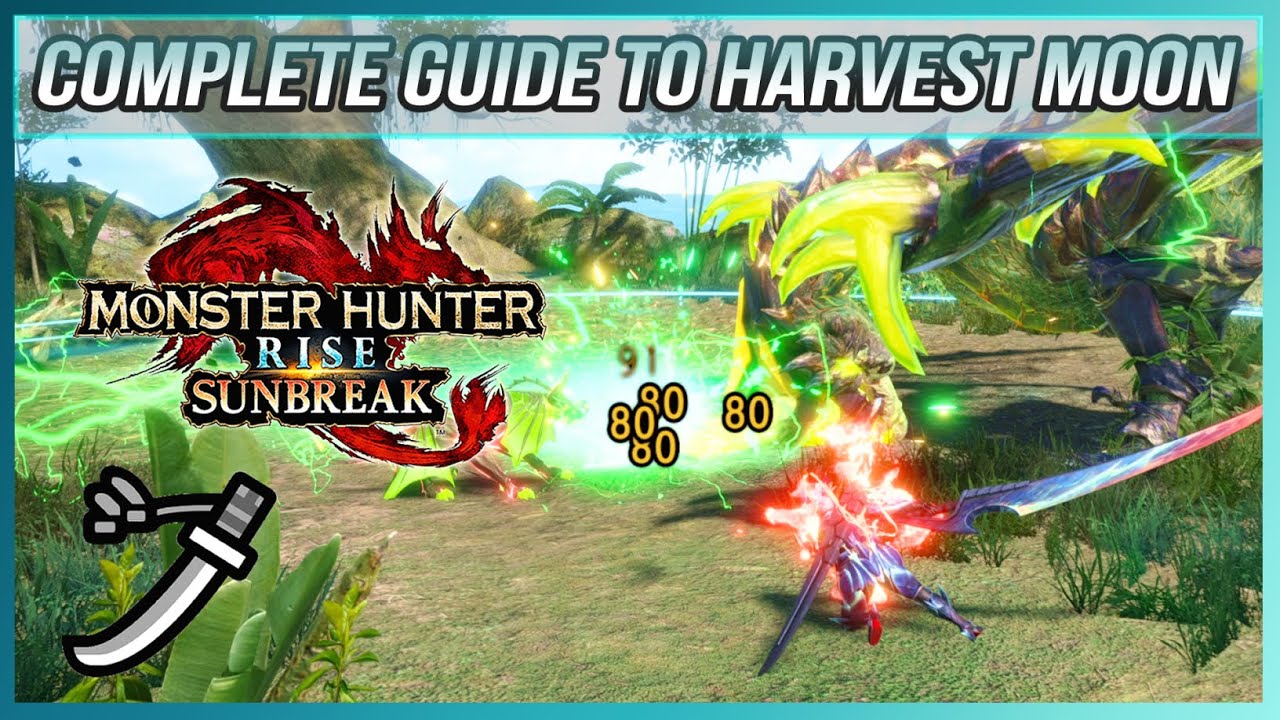 Monster Hunter Rise, A complete guide